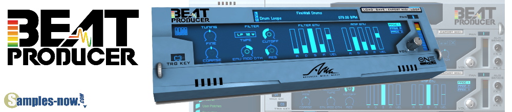Kick-Ass Brass! VST interace